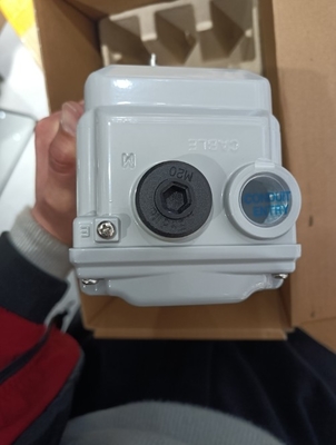 YT-3300RS15401S Rotork Series Product Manual with 1 Period