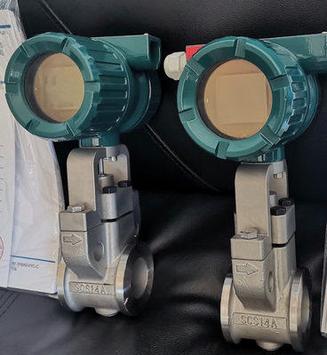 New Original digitalYEWFLO Vortex Flowmeter (No Longer Available) YOKOGAWA DY100-JBLBD2-4D/TS52/CN Short-term Delivery